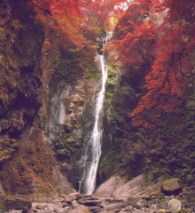 waterfall in Goldstream Park