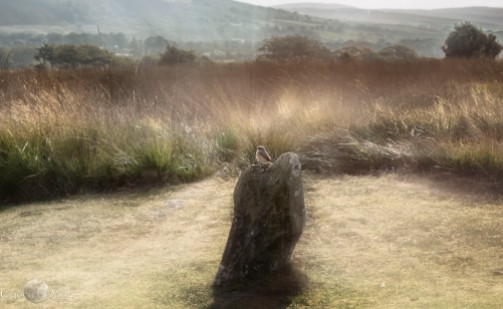 the spirit of the standing stones