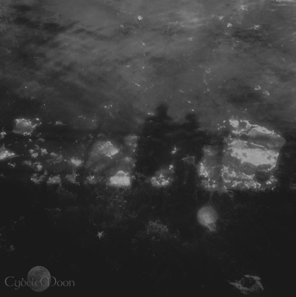 we shadows ( reflecting on the breakwater)